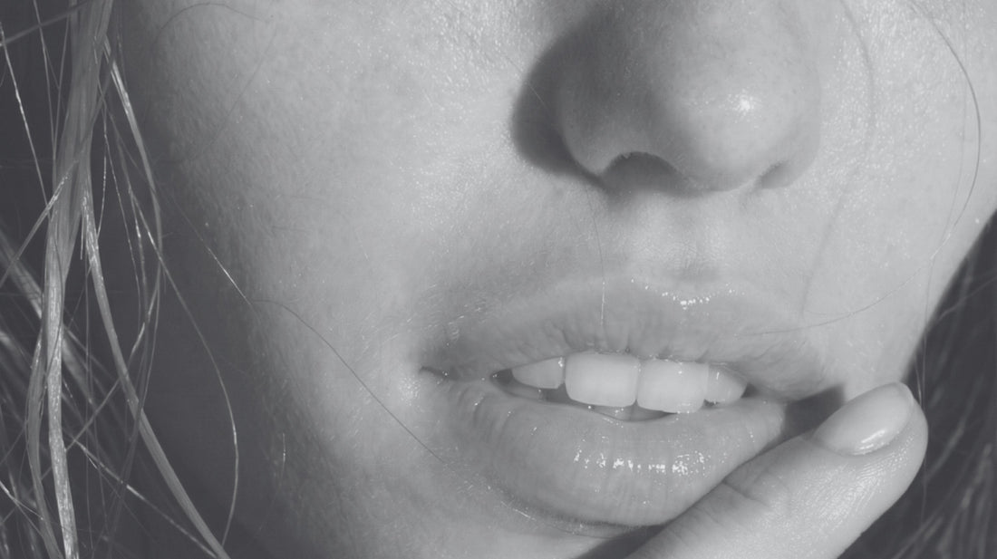 The Architecture of the Lip