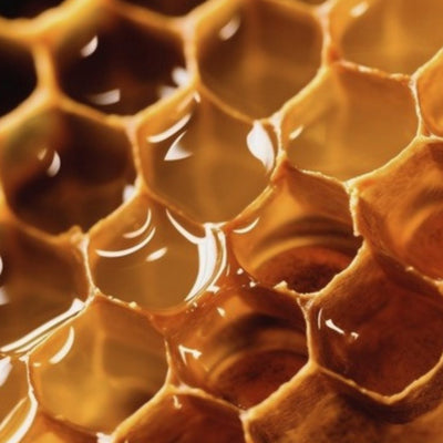 Golden honey filling the cells of a honeycomb