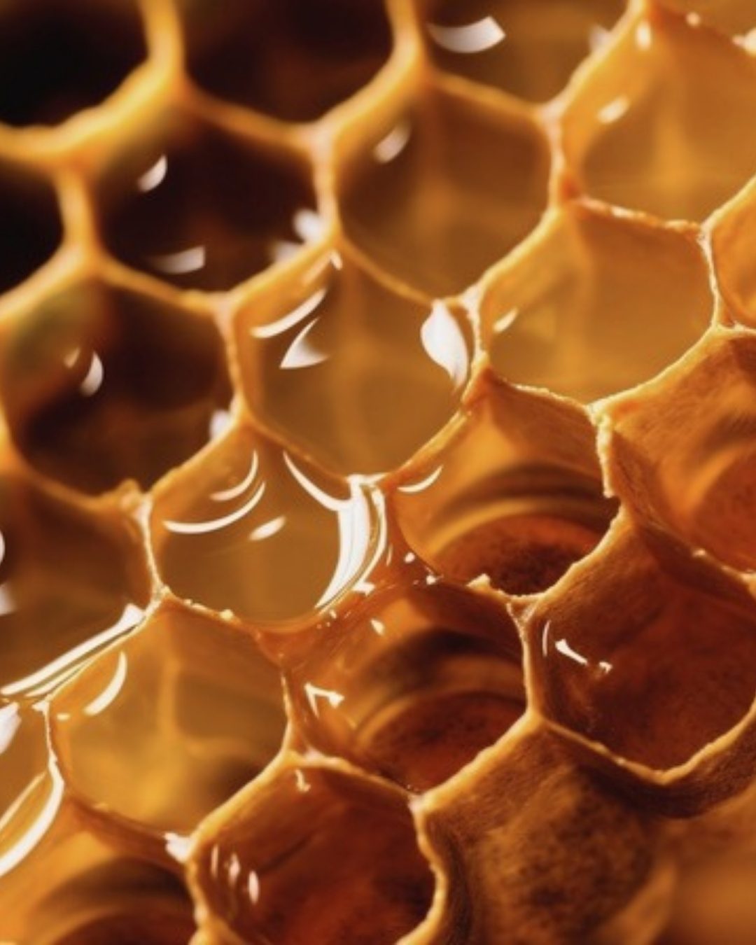 Golden honey filling the cells of a honeycomb
